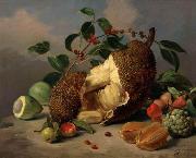 unknow artist Still life with fruit oil painting reproduction